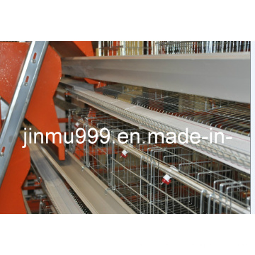 Automatic Feeding Machine for Chicken